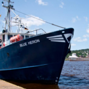 Científicos descubren un nuevo microorganismo en lagos