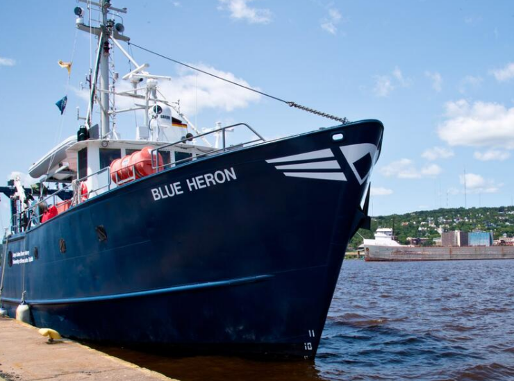 Científicos descubren un nuevo microorganismo en lagos