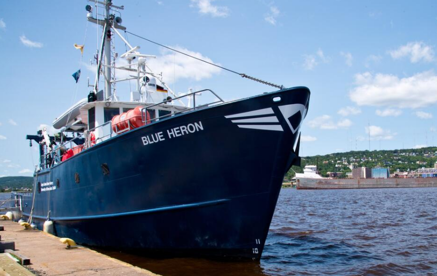 Científicos descubren un nuevo microorganismo en lagos