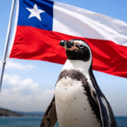 Chile frena proyecto minero para proteger a los pingüinos