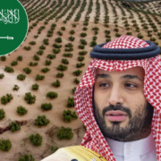 Arabia quiere "reverdecer" el desierto y planea plantar millones de árboles