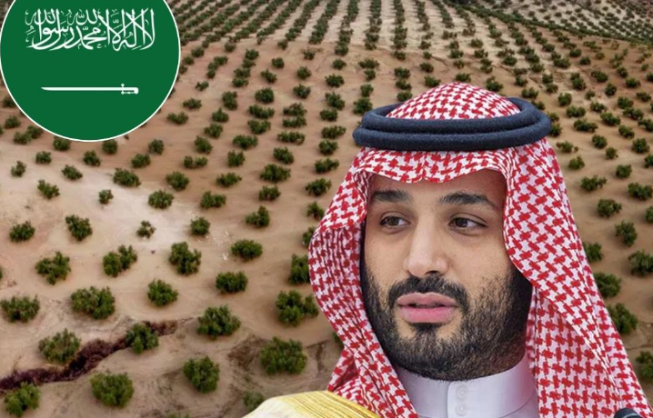 Arabia quiere "reverdecer" el desierto y planea plantar millones de árboles