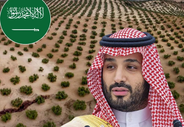 Arabia quiere "reverdecer" el desierto y planea plantar millones de árboles