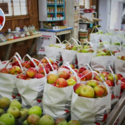 Francia lucha contra el desperdicio de comida y obliga los supermercados a donar