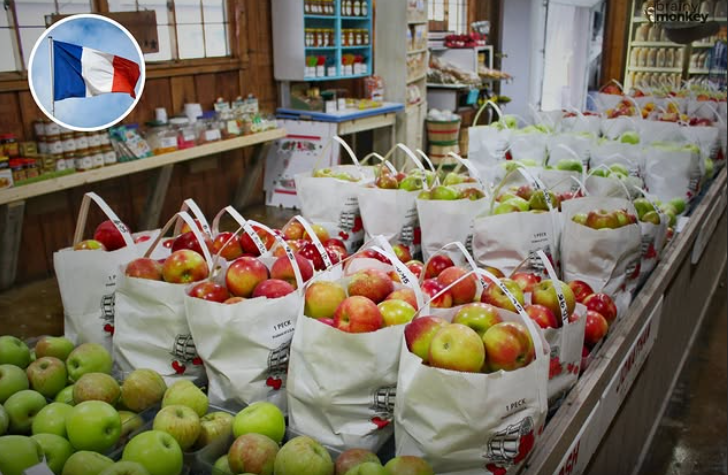 Francia lucha contra el desperdicio de comida y obliga los supermercados a donar