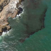 ONG denuncian que derrame inició en febrero: Impactante revelación