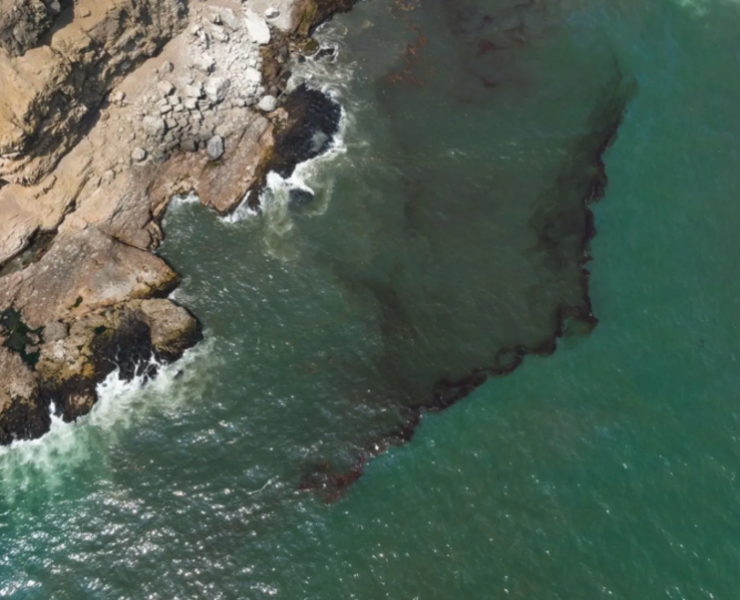 ONG denuncian que derrame inició en febrero: Impactante revelación