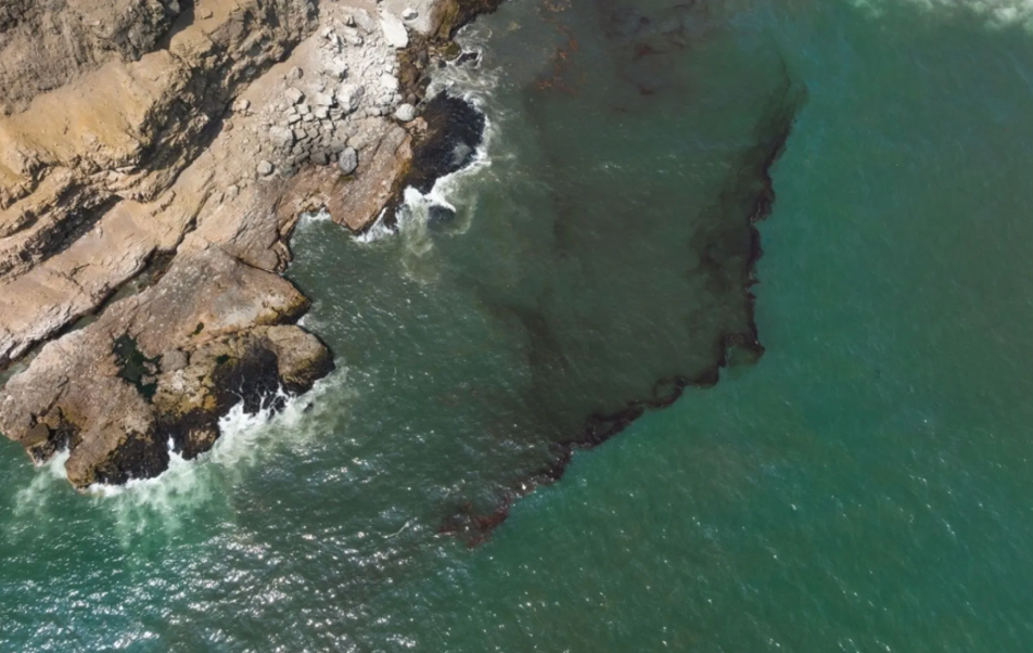 ONG denuncian que derrame inició en febrero: Impactante revelación