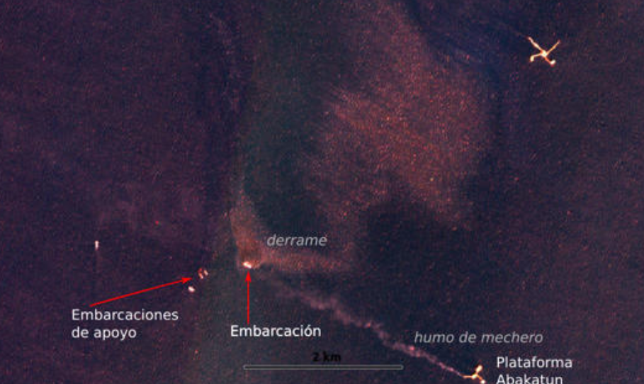 Posibles causas y responsabilidad