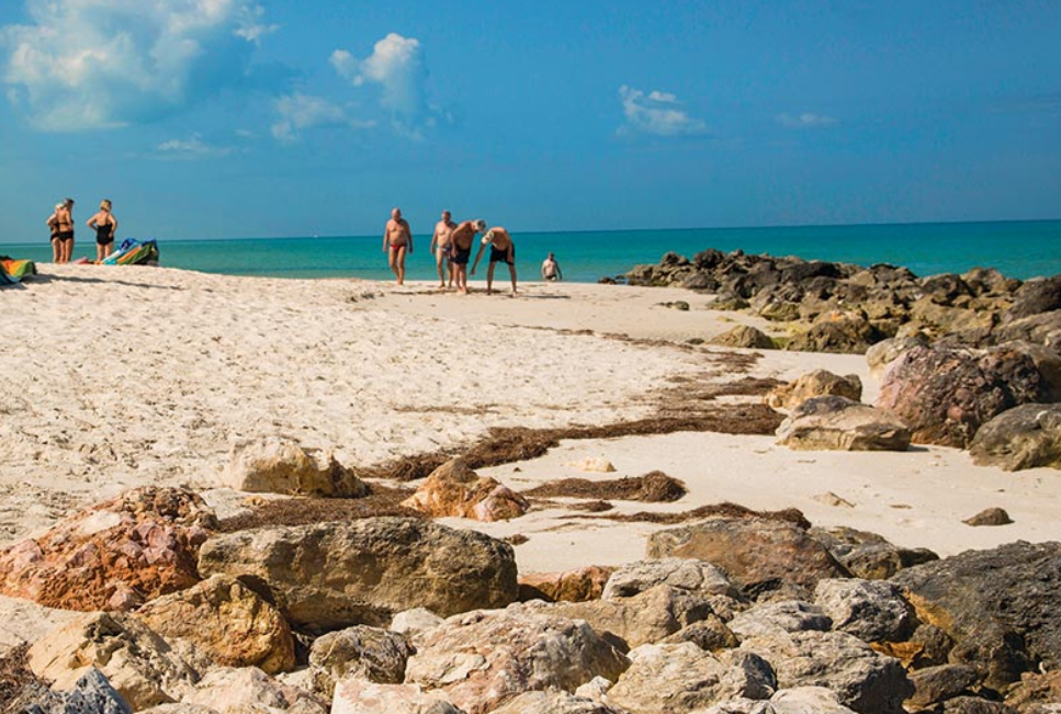 Inspecciones y vigilancia constante