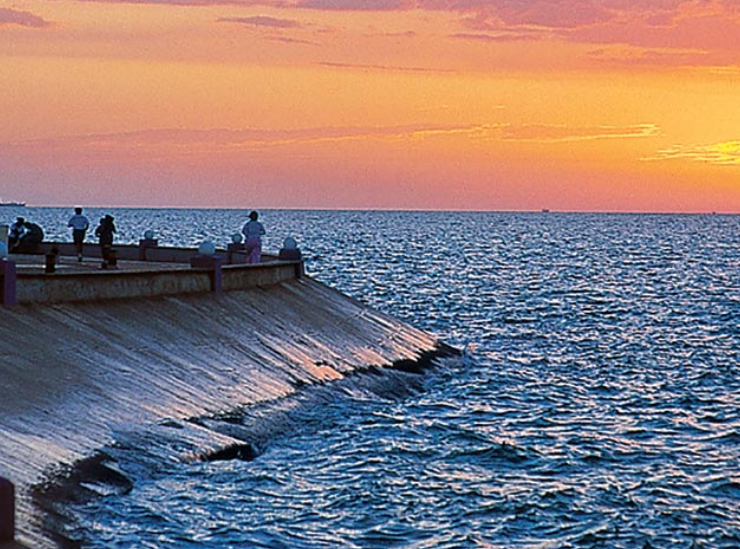 Playas de Campeche están limpias: sorprendente informe