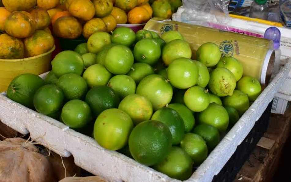 Impacto social y económico en la región