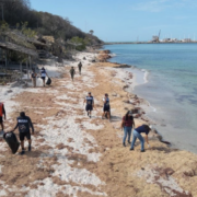 Recolectan 700 toneladas de hidrocarburo derramado impacta costas