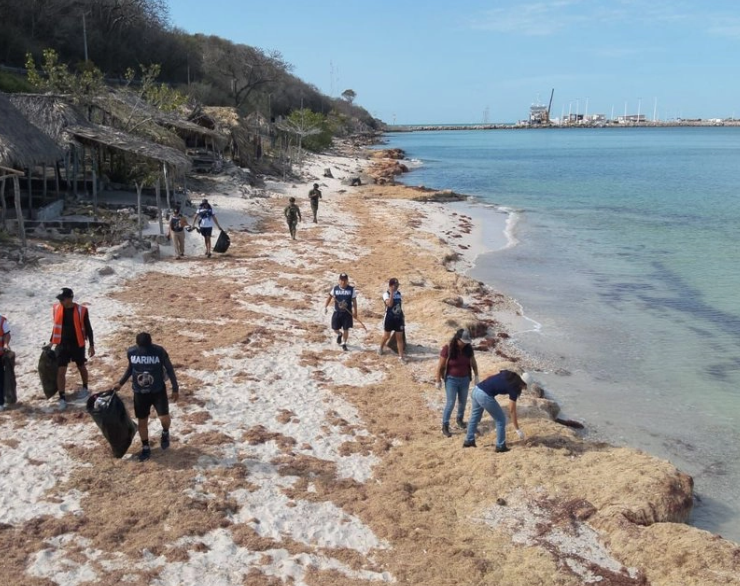 Recolectan 700 toneladas de hidrocarburo derramado impacta costas