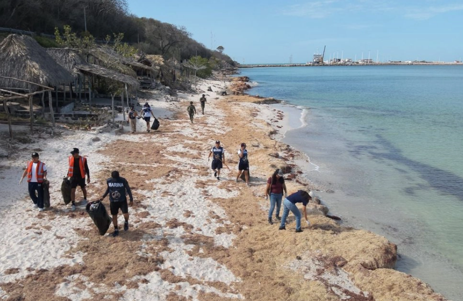 Recolectan 700 toneladas de hidrocarburo derramado impacta costas