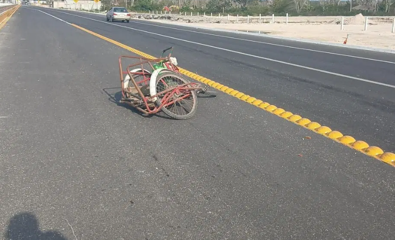 Escena impactante y reacción de autoridades
