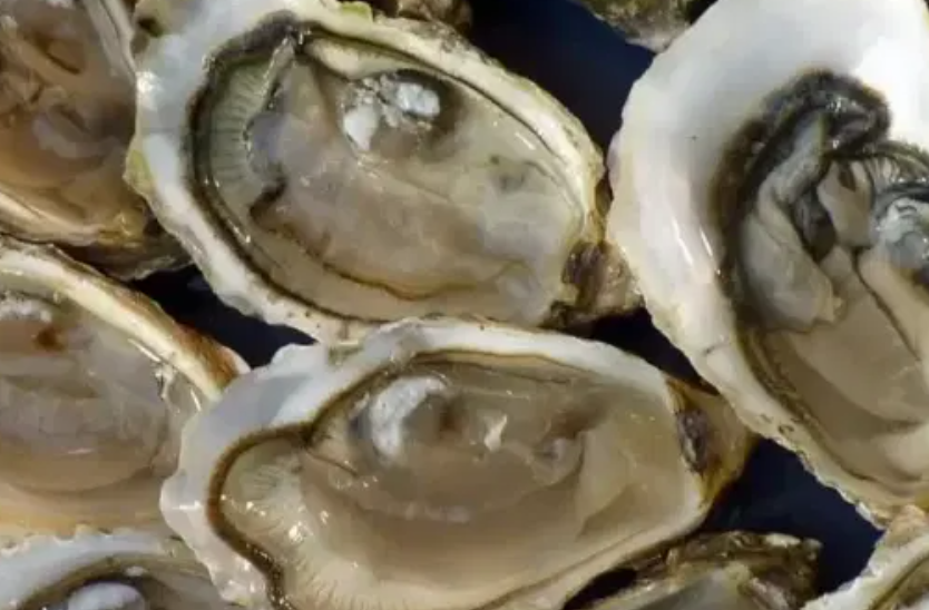 Controles en la producción de moluscos