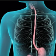 Crean el primer esófago artificial funcional y es "cultivado" en laboratorio