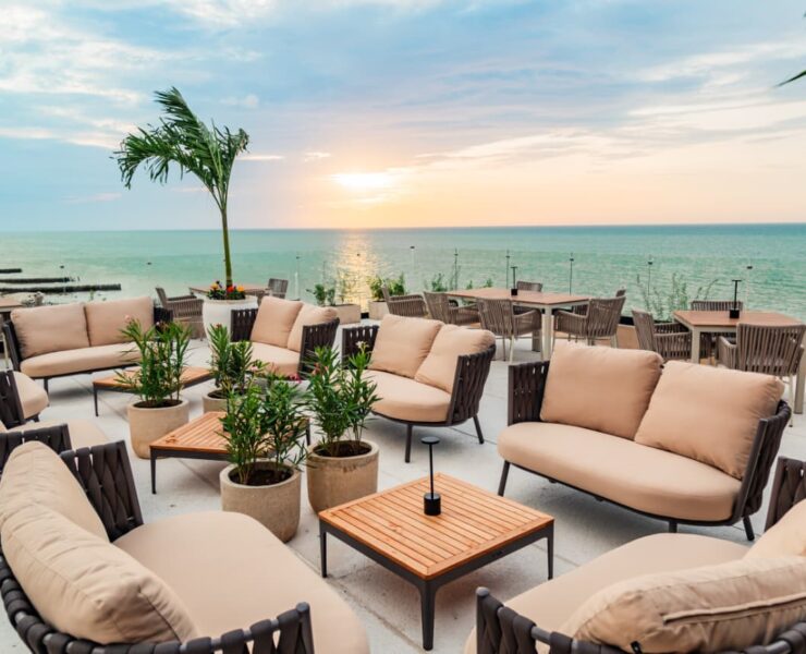 Chelem celebra el primer aniversario de Molusk