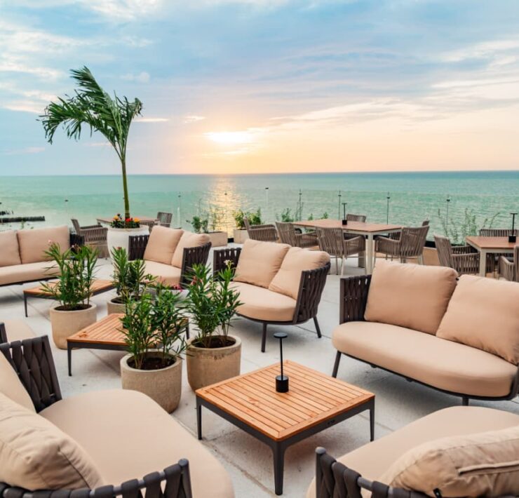 Chelem celebra el primer aniversario de Molusk