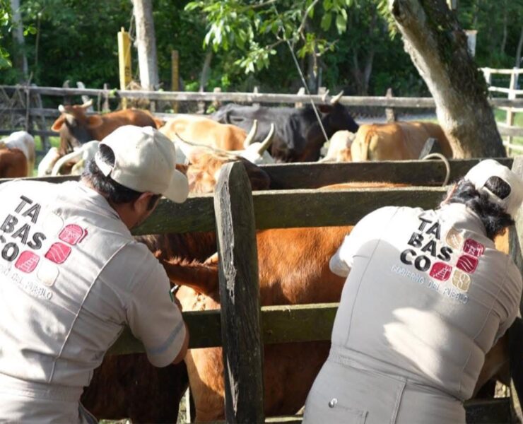 Con cero casos de tuberculosis Jalpa de Méndez concluye barrido sanitario