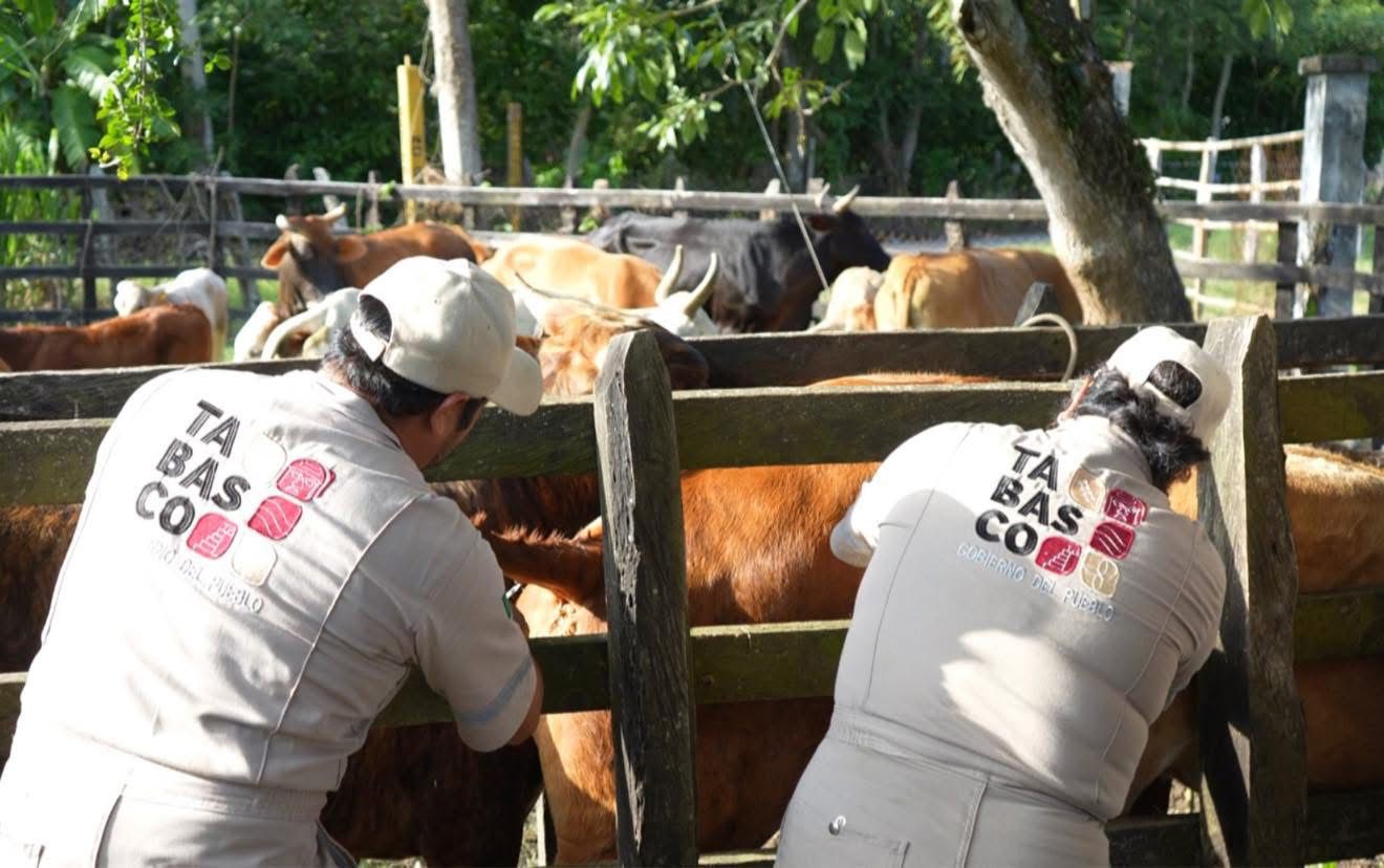 Con cero casos de tuberculosis Jalpa de Méndez concluye barrido sanitario