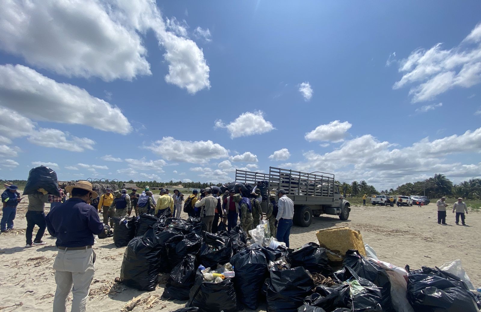 Conciencia ambiental y restauración del entorno