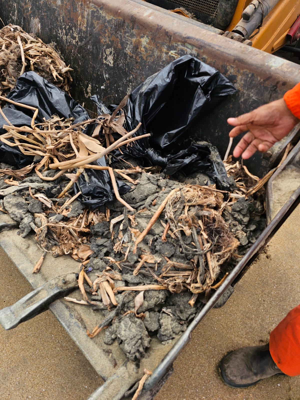 Continúa monitoreo por residuos de hidrocarburos