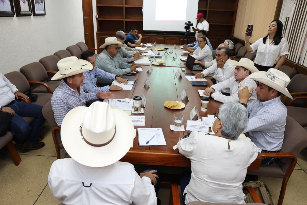 Coordinación interestatal y respaldo del Senado