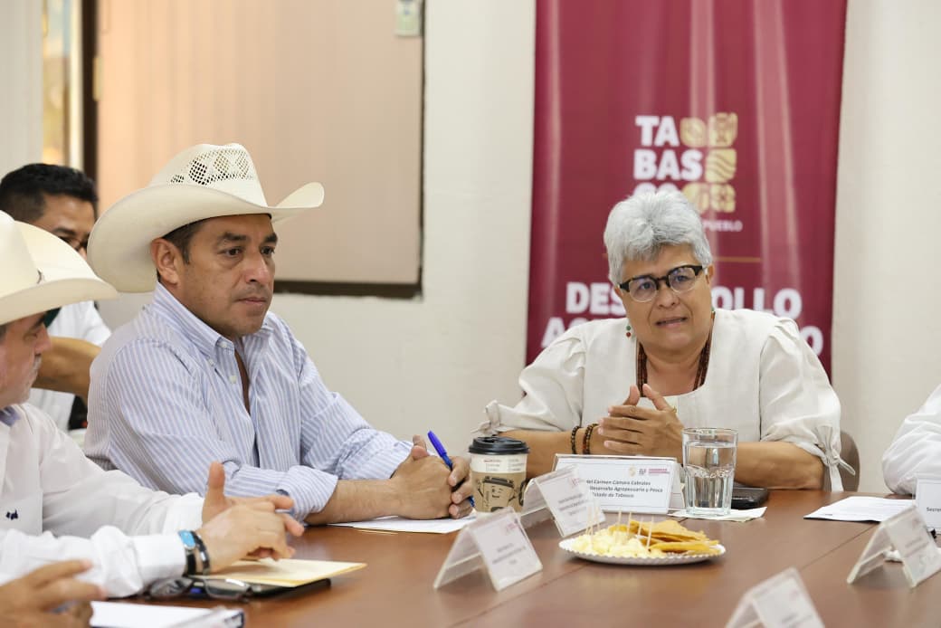 Coordinación interestatal y respaldo del Senado