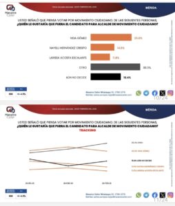 Movimiento Ciudadano perfila a Vida Gómez como su principal carta en Mérida, mientras que en Progreso el partido busca posicionarse ante el dominio que actualmente marcan PAN y MORENA rumbo a 2027.