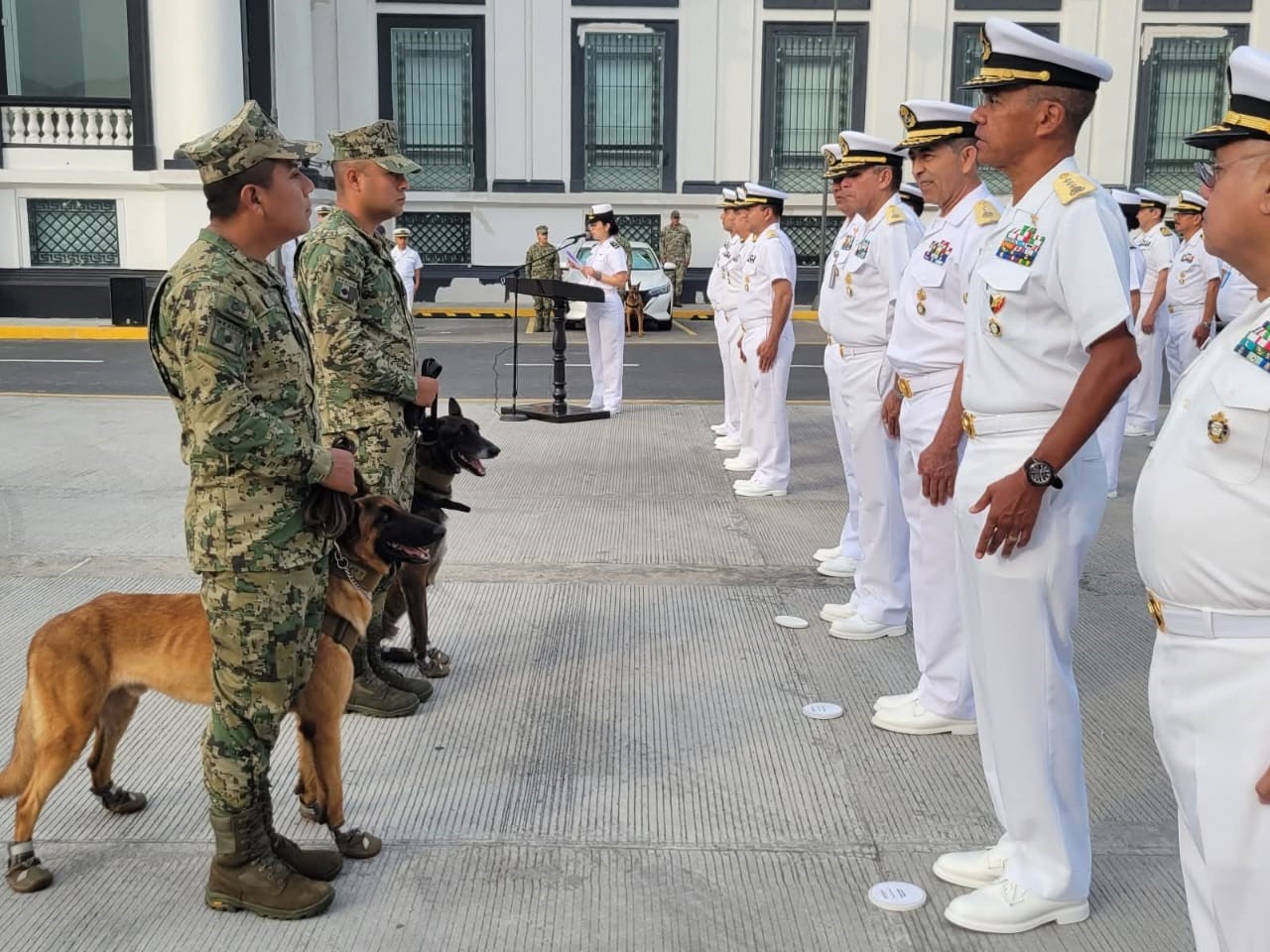 Héroes Caninos: Emotiva ceremonia de retiro en Veracruz