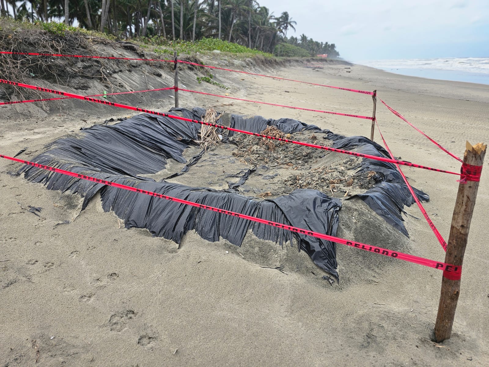 Manejo y resguardo de residuos contaminantes