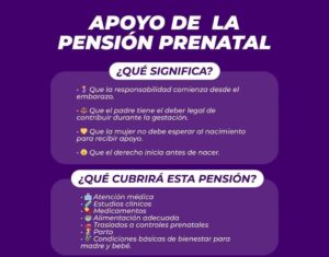 En el marco del 8M, Marité Boehm Calero impulsa una reforma al Código de Familia para establecer la figura de la pensión prenatal en Yucatán.