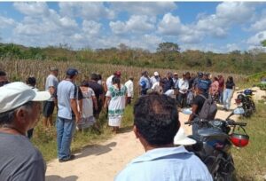 En una reunión de intercambio de experiencias, productores innovadores del sur del estado señalaron que las plagas de tejones provocaron la pérdida de cosechas