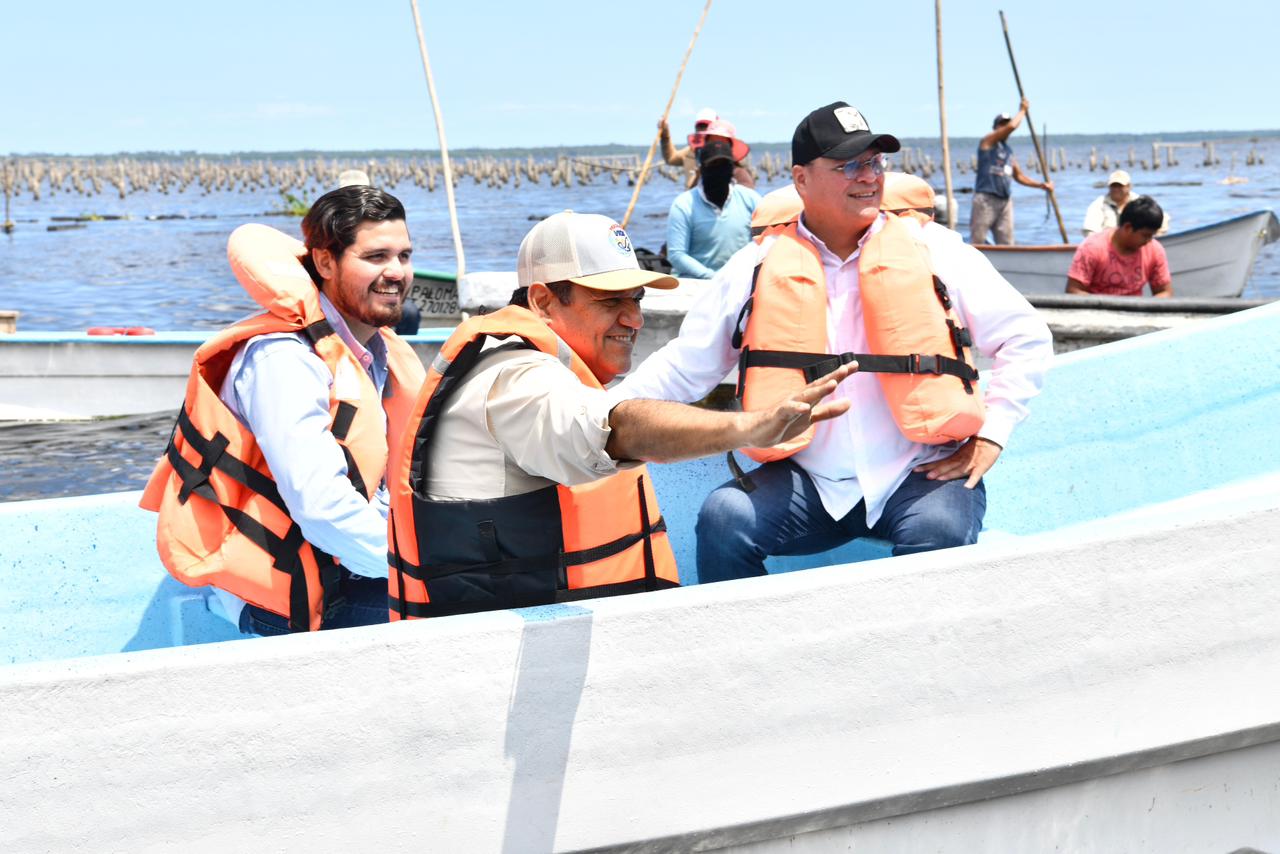 Producción en crecimiento y compromiso social