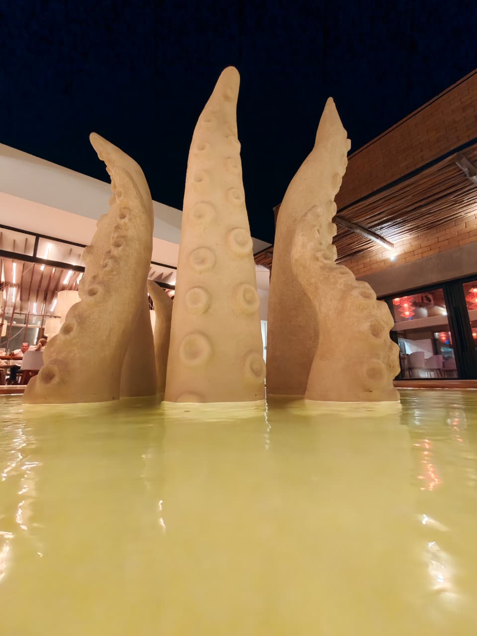 inicio de una nueva etapa para Molusk