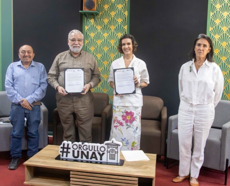 UNAY recibe histórica donación de 380 obras del Macay