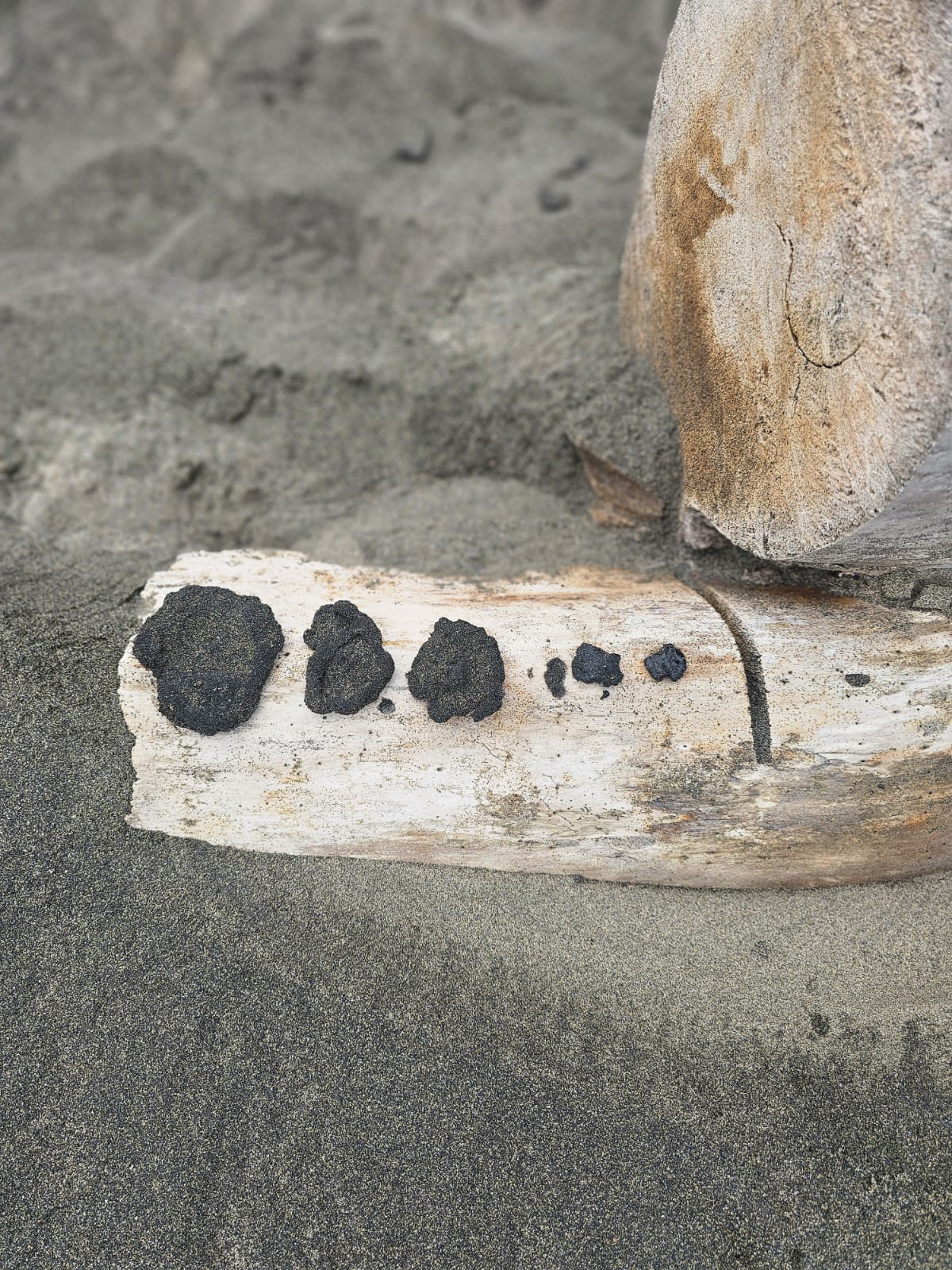 Verificación en puntos clave del litoral