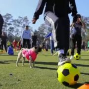 Ciudad de México busca romper récord mundial con clase masiva de futbol en el Zócalo