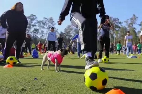 Ciudad de México busca romper récord mundial con clase masiva de futbol en el Zócalo