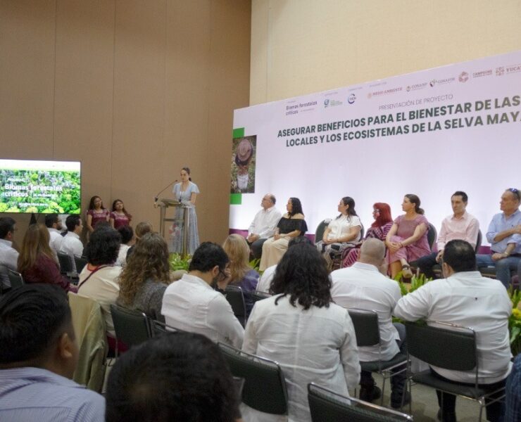 Yucatán impulsa alianza regional histórica para proteger la selva maya