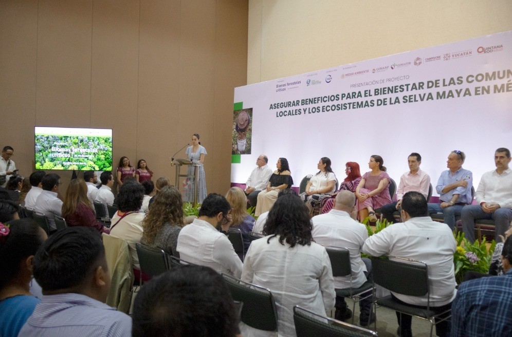 Yucatán impulsa alianza regional histórica para proteger la selva maya
