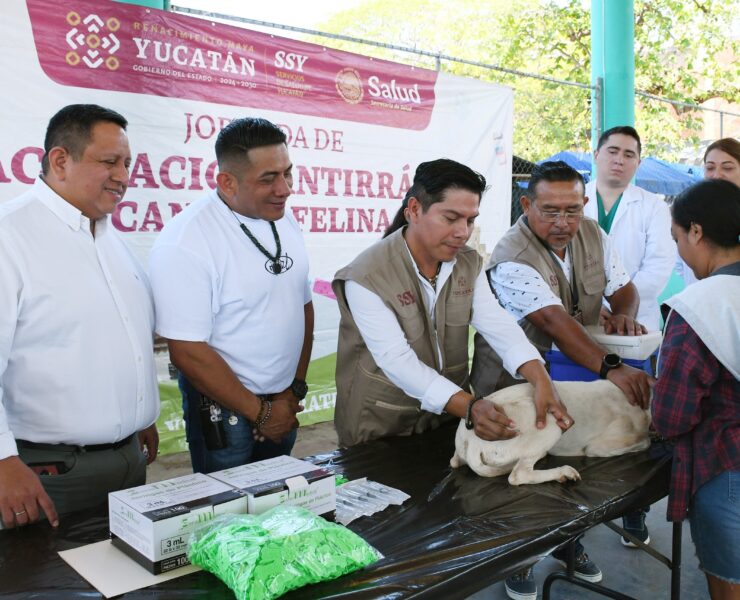Yucatán impulsa vacunación masiva antirrábica para proteger mascotas y población