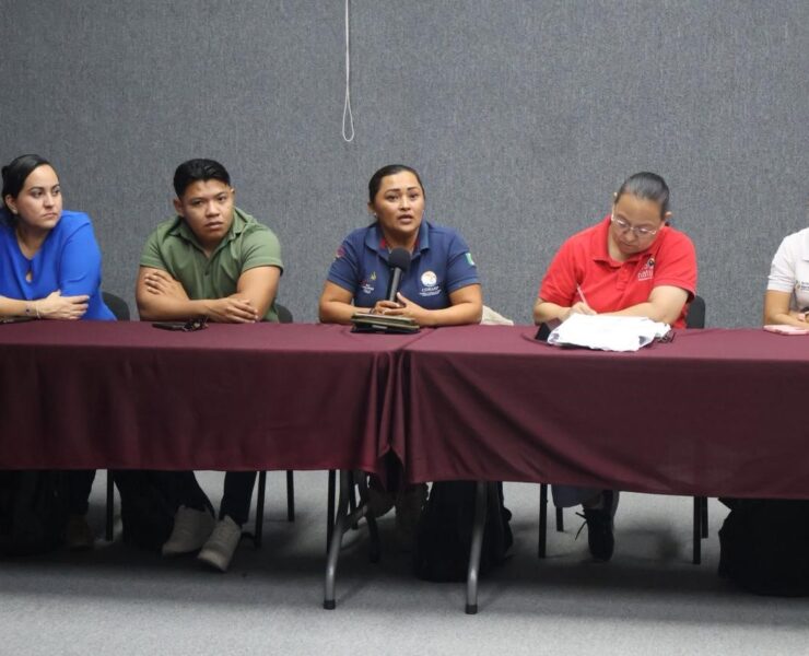 Tortugas marinas: Yucatán inicia histórica temporada de anidación marina