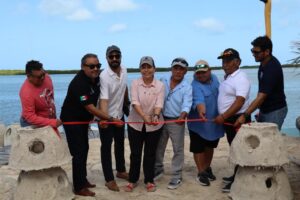 Instalan las primeras 30 estructuras que buscan transformar el futuro ambiental, pesquero y turístico de la costa yucateca.