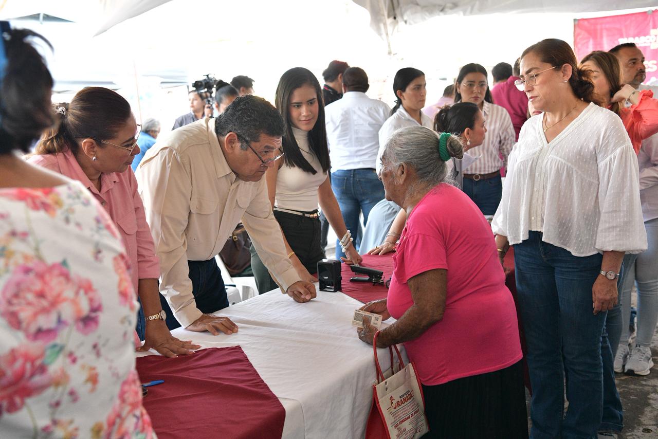 cultivos que marcan extensiones de patios