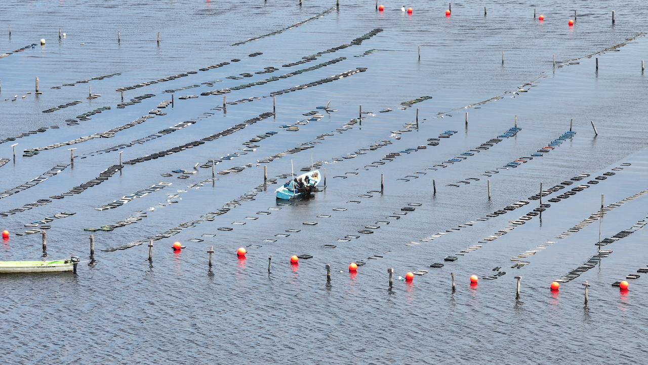 el Gobernador Javier May Rodríguez anunció 