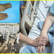 ¡Alerta en Yucatán! Confirman primera muerte por gusano barrenador