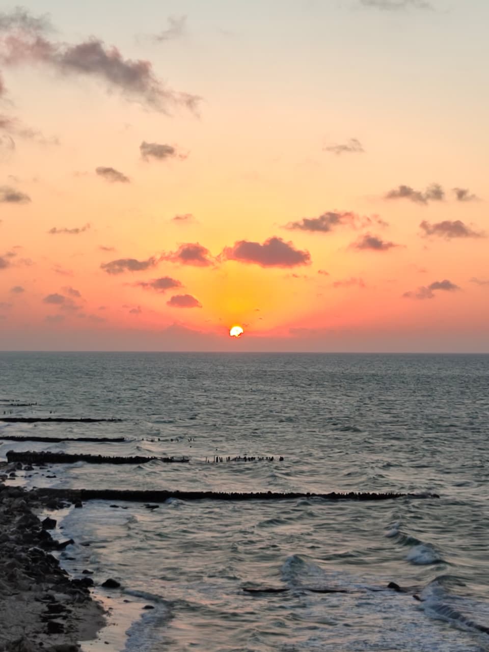 Para conmemorar su primer aniversario